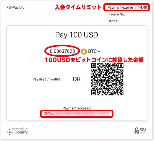 エコペイズ(ecoPayz) Alternative payment 支払いアドレス