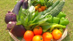 【保存版】有機野菜と無農薬野菜、オーガニックの違いとは